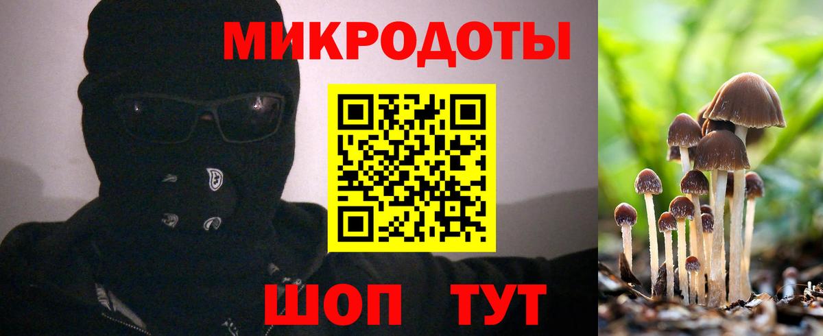 Псилоцибиновые грибы мицелий Семилуки